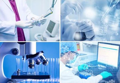 灣際創新科技園,智能科技產業綜合體